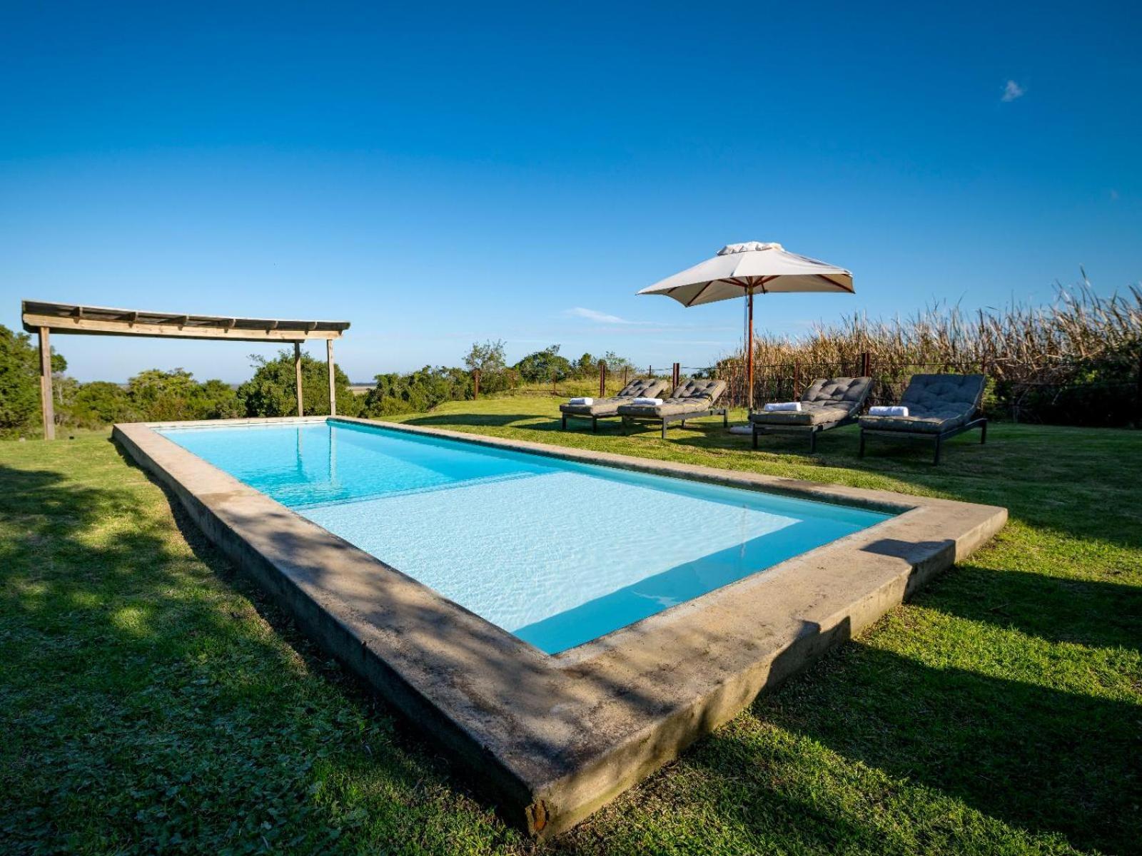 Belle Balance Bush Lodge Плетенбърг Бей Екстериор снимка